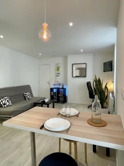 Les Soldes Au Gervais Appartement Studio En Plein Centre Saint-Etienne  Apartment
