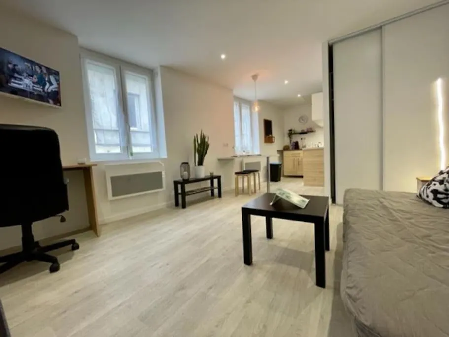 Les Soldes Au Gervais Appartement Studio En Plein Centre Saint-Etienne  France