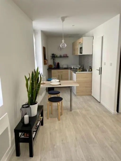 Les Soldes Au Gervais Appartement Studio En Plein Centre Saint-Etienne  Apartment Saint-Etienne (Loire)