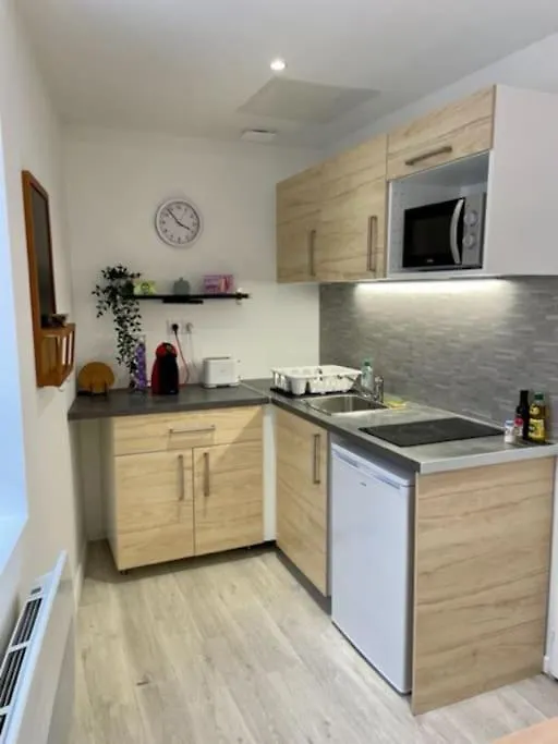 Apartment Les Soldes Au Gervais Appartement Studio En Plein Centre Saint-Etienne