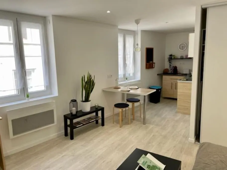 Les Soldes Au Gervais Appartement Studio En Plein Centre Saint-Etienne