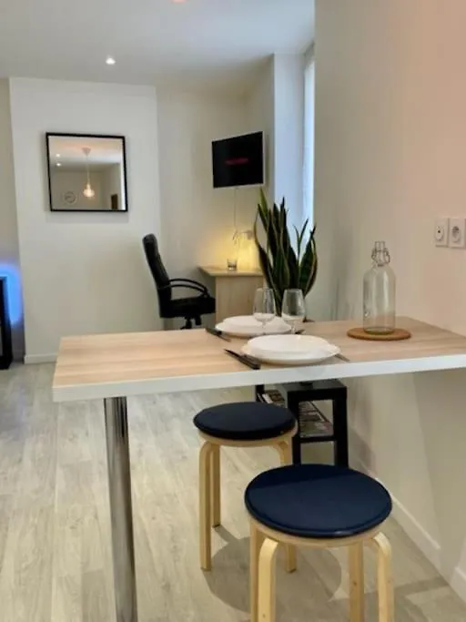 Apartament Les Soldes Au Gervais Appartement Studio En Plein Centre Saint-Etienne