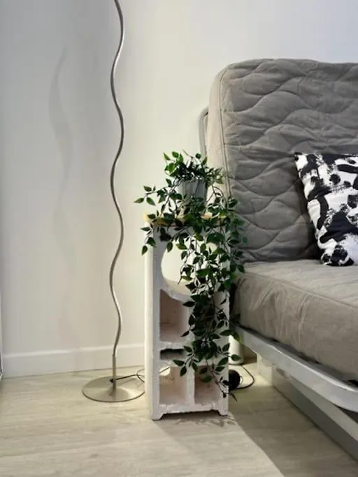 Les Soldes Au Gervais Appartement Studio En Plein Centre Saint-Etienne  Francja
